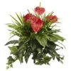 Red Mixed Anthurium Bush, 2ct. -Flowers Michael Store D262493S 1