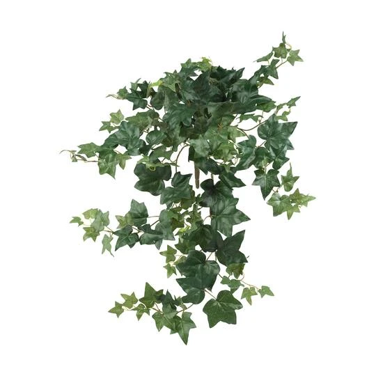 Hanging Puff Ivy, 3ct. 4 Hanging Puff Ivy, 3ct. - Image 2