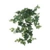 Hanging Puff Ivy, 3ct. 2 Hanging Puff Ivy, 3ct. -Flowers Michael Store D262498S 1