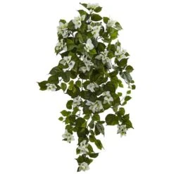 37" Bougainvillea Hanging Plant, 2ct. 5 37" Bougainvillea Hanging Plant, 2ct. -Flowers Michael Store D262529S 1 1