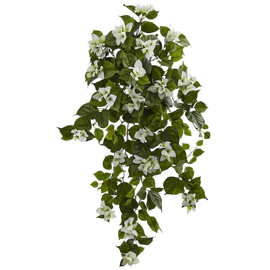 37" Bougainvillea Hanging Plant, 2ct. 3 37" Bougainvillea Hanging Plant, 2ct.