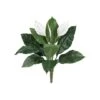 White Peace Lily Plant, 3ct. 1 White Peace Lily Plant, 3ct. -Flowers Michael Store D262550S 11
