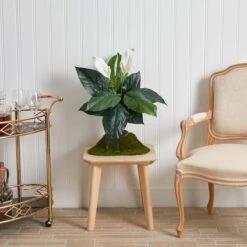 White Peace Lily Plant, 3ct. -Flowers Michael Store D262550S 13