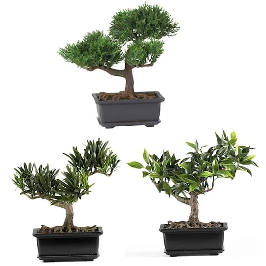 8.5" Potted Bonsai Collection, 3ct. 3 8.5" Potted Bonsai Collection, 3ct.