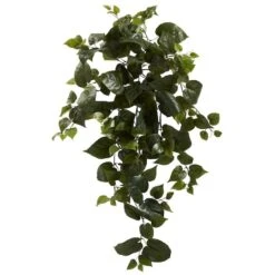 Hanging Philo Plant, 3ct. -Flowers Michael Store D262553S 1 1