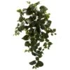 Hanging Philo Plant, 3ct. 2 Hanging Philo Plant, 3ct. -Flowers Michael Store D262553S 1