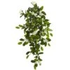 Hanging Mixed Stephanotis & Ivy Plant, 4ct. -Flowers Michael Store D262554S 1