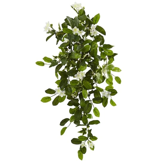 Hanging Mixed Stephanotis & Ivy Plant, 4ct. 3 Hanging Mixed Stephanotis & Ivy Plant, 4ct.