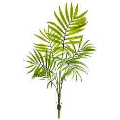 Mini Areca Palm Bushes -Flowers Michael Store D262570S 1 1