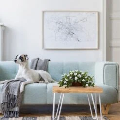 18'' White Bougainvillea Plant In Brown Planter -Flowers Michael Store D262582S 13