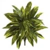 Green Spiderwort Bush, 6ct. 1 Green Spiderwort Bush, 6ct. -Flowers Michael Store D262603S 1