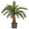 2.5ft. Potted Cycas Tree -Flowers Michael Store D262633S 1