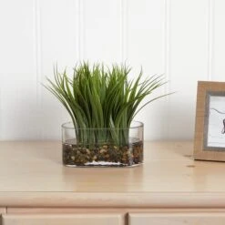 9'' Vanilla Grass Plant In Clear Oval Vase -Flowers Michael Store D262634S 13