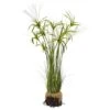 4ft. Papyrus Plant With Faux Soil Arrangement 1 4ft. Papyrus Plant With Faux Soil Arrangement -Flowers Michael Store D262635S 11