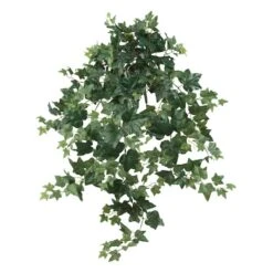 3.5ft. Puff Ivy Hanging Plant, 2ct. -Flowers Michael Store D262637S 1 1