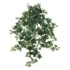 3.5ft. Puff Ivy Hanging Plant, 2ct. -Flowers Michael Store D262637S 1
