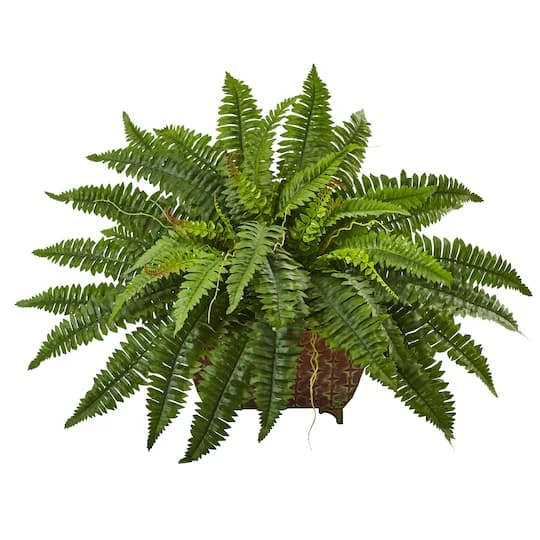 23" Boston Fern In Metallic Planter 4 23" Boston Fern In Metallic Planter - Image 2