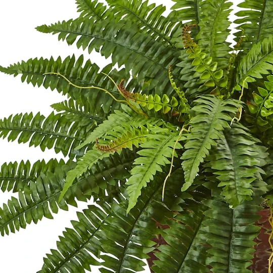 23" Boston Fern In Metallic Planter 5 23" Boston Fern In Metallic Planter - Image 3