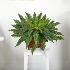 23" Boston Fern In Metallic Planter 12 23" Boston Fern In Metallic Planter -Flowers Michael Store D262646S 14