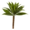 Green Large Agave Pick -Flowers Michael Store D262650S 11