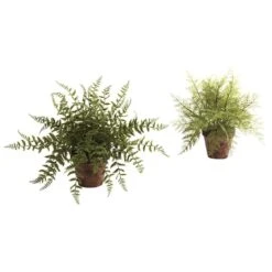 12" Fern In Decorative Planter, 2ct. -Flowers Michael Store D262662S 1 1
