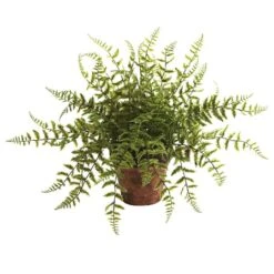 12" Fern In Decorative Planter, 2ct. -Flowers Michael Store D262662S 2