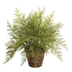12" Fern In Decorative Planter, 2ct. -Flowers Michael Store D262662S 3