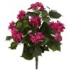 20" Bougainvillea Plant, 3ct. -Flowers Michael Store D262679S 1