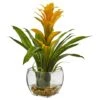 12" Bromeliad Plant With Glass Vase Arrangement -Flowers Michael Store D262704S 1