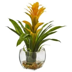 12" Bromeliad Plant With Glass Vase Arrangement