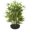 20" Potted Bamboo Tree