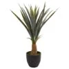 2.5ft. Agave In Black Planter