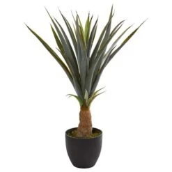 2.5ft. Agave In Black Planter