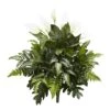 Peace Lily, Philodendron, And Fern Bush, 2ct. -Flowers Michael Store D262726S 1