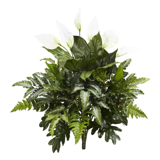 Peace Lily, Philodendron, And Fern Bush, 2ct. 3 Peace Lily, Philodendron, And Fern Bush, 2ct.