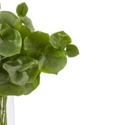 2.5ft. Lotus Branch Arrangement In Clear Vase -Flowers Michael Store D262734S 2