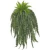 5ft. Boston Fern Hanging Plant 2 5ft. Boston Fern Hanging Plant -Flowers Michael Store D262738S 1