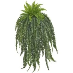 5ft. Boston Fern Hanging Plant