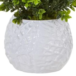 17" Boxwood In White Vase -Flowers Michael Store D262752S 13