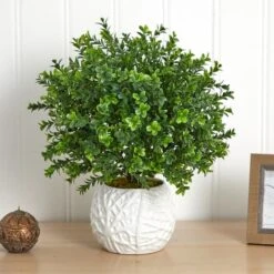 17" Boxwood In White Vase -Flowers Michael Store D262752S 14