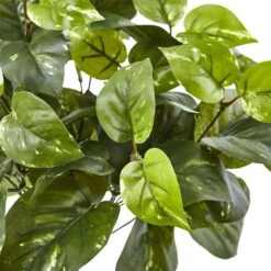 16" Pothos Bush, 6ct. -Flowers Michael Store D262771S 4