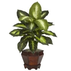 20.5" Assorted Dieffenbachia In Wood Vase, 2ct. -Flowers Michael Store D262779S 12