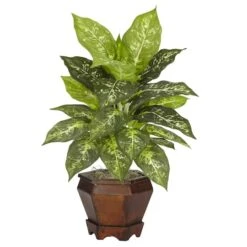 20.5" Assorted Dieffenbachia In Wood Vase, 2ct. -Flowers Michael Store D262779S 13
