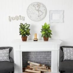 20.5" Assorted Dieffenbachia In Wood Vase, 2ct. -Flowers Michael Store D262779S 15