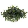 14" Ivy In White Planter -Flowers Michael Store D262783S 11