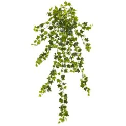 Ivy Hanging Plant, 4ct. 5 Ivy Hanging Plant, 4ct. -Flowers Michael Store D262812S 1 1