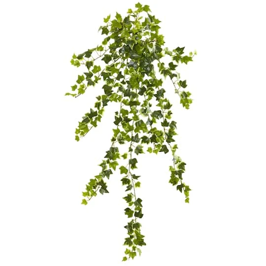 Ivy Hanging Plant, 4ct. 4 Ivy Hanging Plant, 4ct. - Image 2