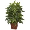 3ft. Bracken Fern In Wooden Planter -Flowers Michael Store D262814S 11