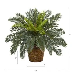 15" Cycas In Basket 7 15" Cycas In Basket -Flowers Michael Store D262823S 2