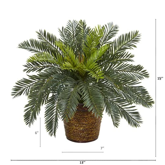 15" Cycas In Basket 5 15" Cycas In Basket - Image 3